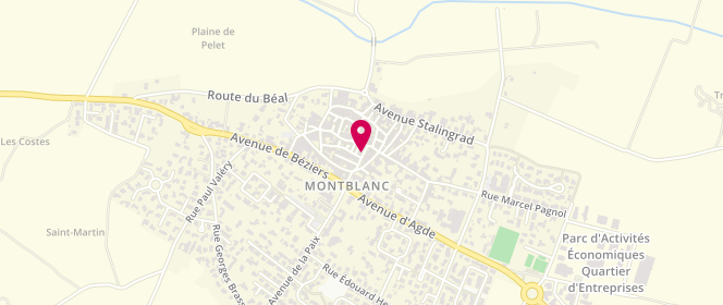 Plan de Boucherie Allegre, 113 Place du Jeu de Paume, 34290 Montblanc