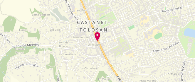 Plan de Terres d'Oc, 4 avenue de Toulouse, 31320 Castanet-Tolosan