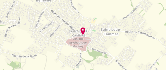 Plan de Boucherie Anthony Fau, 6 Route de Pechbonnieu, 31140 Saint-Loup-Cammas