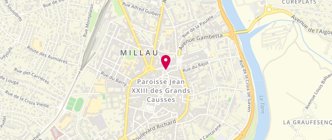 Plan de La côte millavoise, 8 Boulevard de Bonald, 12100 Millau