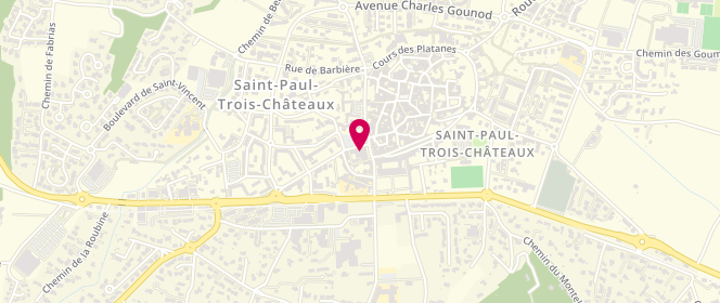 Plan de Boucherie Tricastine - Maison Boyer, 16 place de la Libération, 26130 Saint-Paul-Trois-Châteaux