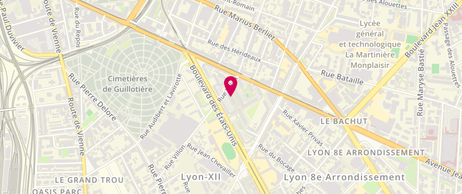 Plan de Délices Viandes, 95 Rue Villon, 69008 Lyon