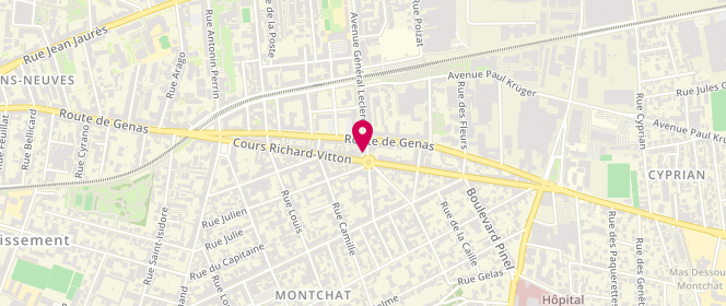 Plan de Vessiere Montchat, 51 Cours Richard Vitton, 69003 Lyon