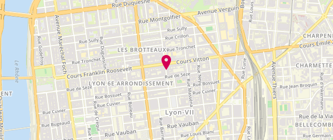 Plan de Vessiere Tete d'Or, 53 Rue Tête d'Or, 69006 Lyon