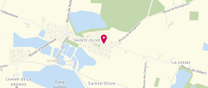 Plan de Boucherie Sainte Olive, 454 au Village, 01330 Sainte-Olive