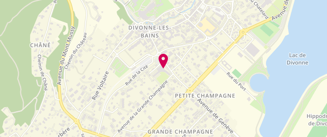 Plan de Boucherie D.e.s.p.i, 252 avenue de Genève, 01220 Divonne-les-Bains