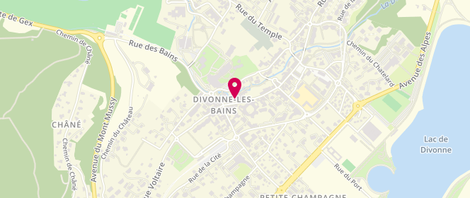 Plan de Lièvre Gérard, 45 Grande Rue, 01220 Divonne-les-Bains