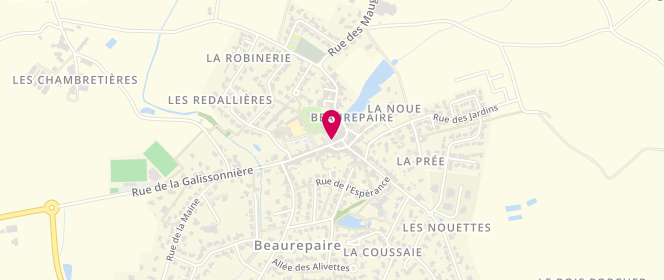 Plan de Remigereau, 21 place Saint-Laurent, 85500 Beaurepaire