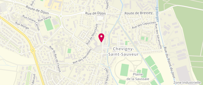 Plan de Boucherie Saint Sauveur, 40 avenue de la République, 21800 Chevigny-Saint-Sauveur