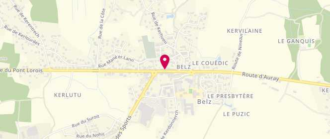 Plan de Boucherie Charcuterie de la Presqu'Île, 50 Rue Général de Gaulle, 56550 Belz