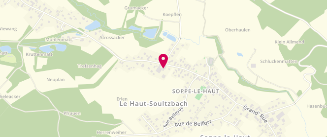 Plan de Ferme du Soultzbach, 14 Grande Rue Grand Rue, 68780 Le Haut-Soultzbach