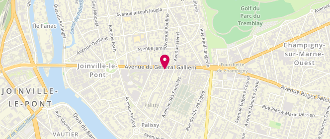 Plan de Au Parfait Gigot, 40 avenue du Général Gallieni, 94340 Joinville-le-Pont