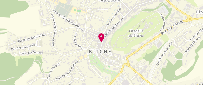 Plan de Boucherie Busché, 8 Rue du Marechal Foch, 57230 Bitche
